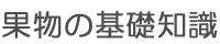 果物の基礎知識
